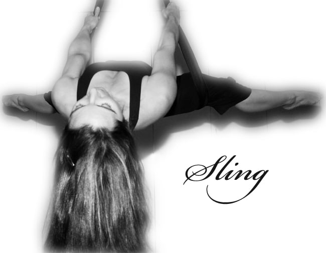 Slingshot3 copy